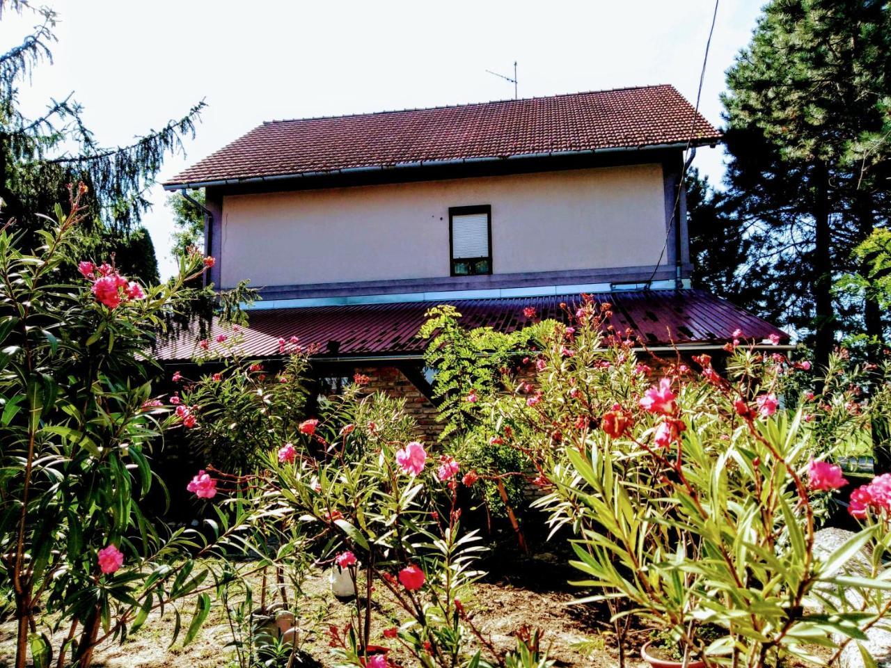 Locomotiv Vendégház Hercegszanto Exterior foto